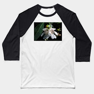 Christmas Bush With Visitor Baseball T-Shirt